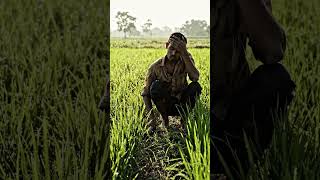 #mehanti #video #hai#url#