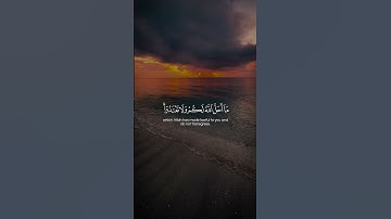 Surah Al-Maidah 087-088  سورة المائدة #quraniv #quran