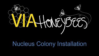Nucleus Colony Installation