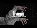 Tame Impala Dracula JENNIE Remix Lyrics 