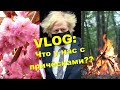 Про лохматых англичан, весенние цветочки и можно ли тут жечь костры.