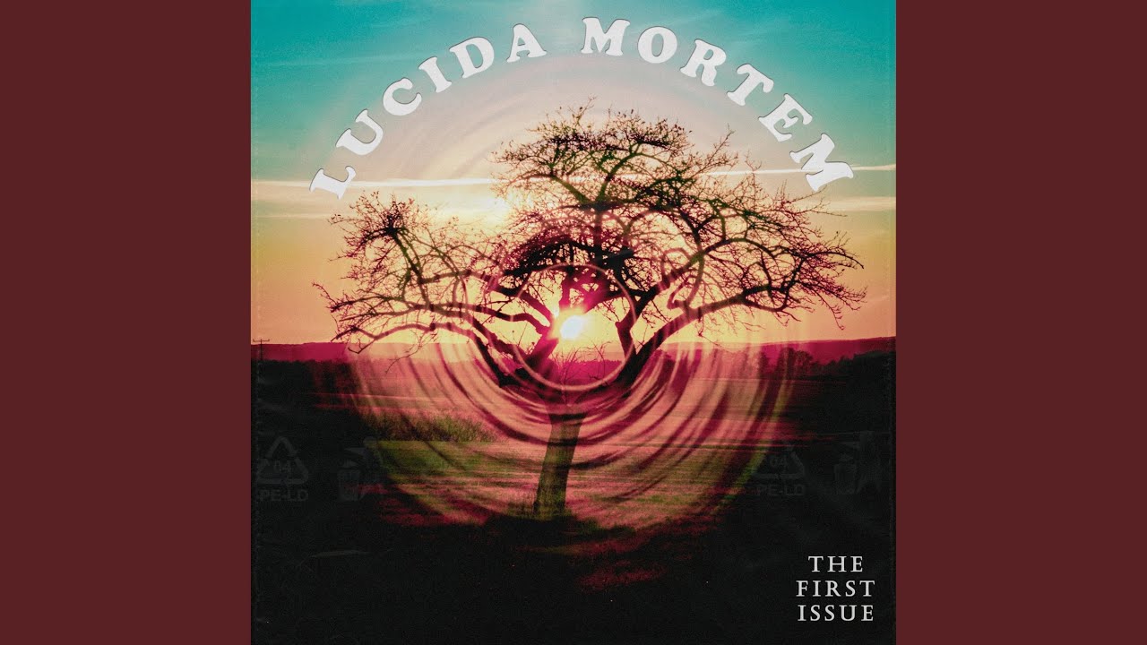 Guarda Lucida su YouTube Guarda Lucida su YouTube