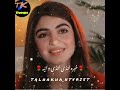 Talha khan typist new 2022 song
