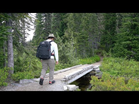 Video: Taman Nasional Mount Rainier Bunga Mekar Liar