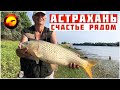 Счастье на рыбалке в Астрахани / Отдых с пенсионерами на природе