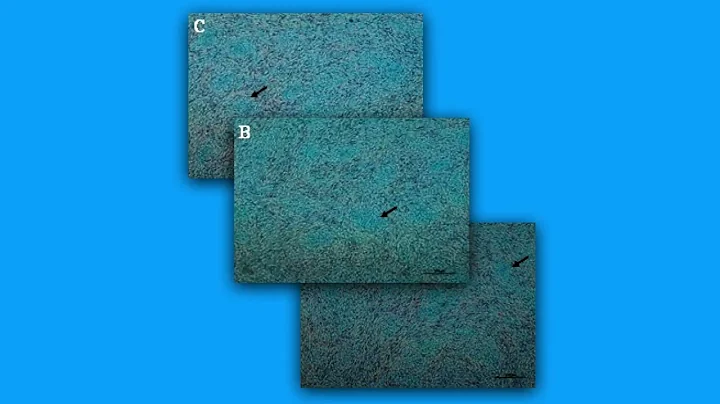 A4286367F333976A0B457C483D2F55#1