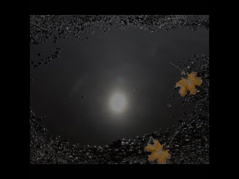 Китайскообразное Китайскообразное | Ryfma
