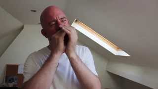 Blues Harmonica Lesson - \