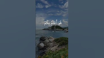 "صوت من ذهب – تلاوة خالدة للشيخ الحصري 🎙️" #تلاوات_خاشعة