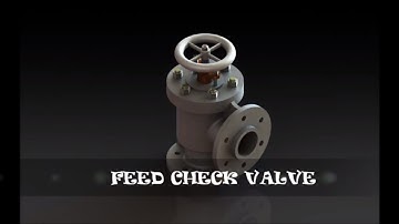 FEED CHECK VALVE