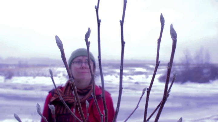 Kim Barlow - Whitehorse