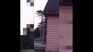 Best funny memes from iFunny 94