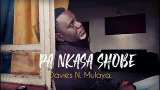 Davies N. Mulaya-Pa nkasa shobe .