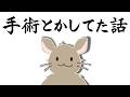 網膜剥離からの復帰Radio