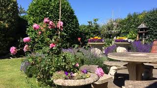 Dale Piper : An English Garden on a Summer’s Day