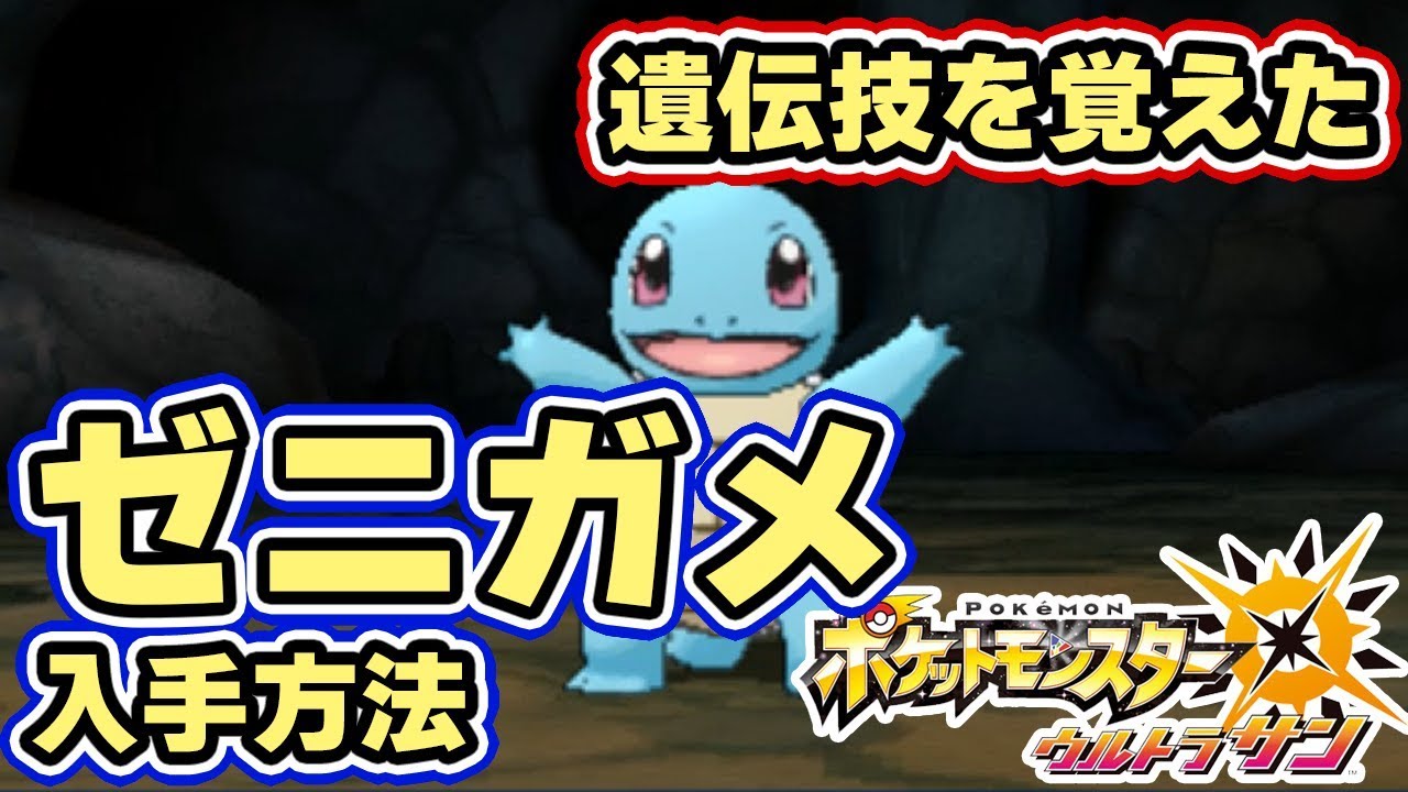 ポケモンusum 島スキャンで遺伝技を覚えた ゼニガメ の入手方法と出現場所 月曜日メレメレ島 ウルトラサンムーン実況 Youtube