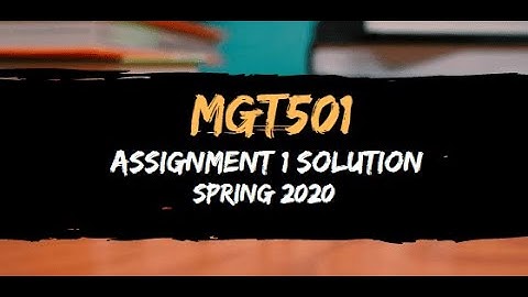 MGT501 Assignment 1 Solution Spring 2020