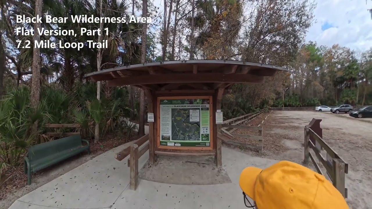 Black Bear Wilderness Area, Flat Version, Part 1