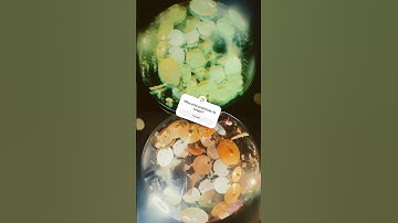 My last 2 brain cells when I’m trying to fall asleep 😂🤣