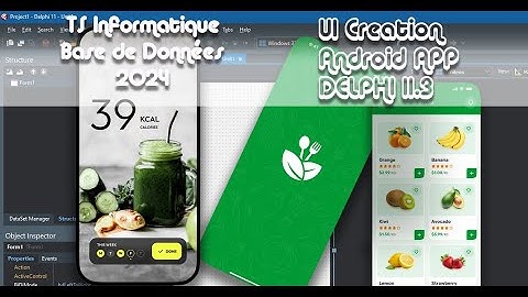 Development of an android interface with Embarcadero Delphi 11.3