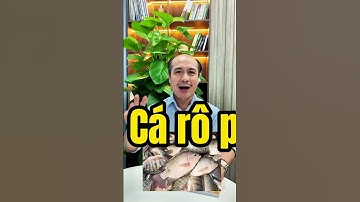 3 loại cá tốt cho người tiểu đường