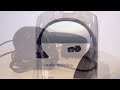 Beginning of video