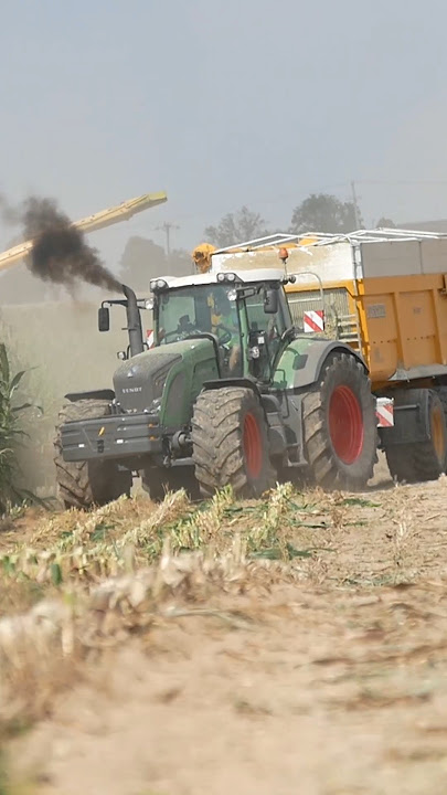 OPOROWA KUKURYDZA 🌽| 4 CIĄGNIKI W AKCJI! GIERADA AGRO | #shorts #fendt #agro #agriculture