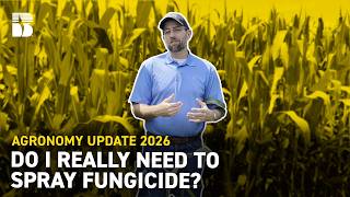 Do I Really Need To Spray Fungicide? | Beck's Agronomy Update