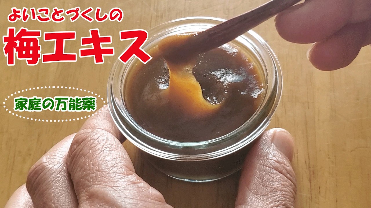 家庭の万能薬！よいことづくしの梅エキス（梅肉エキス）の作り方【How to Make All-Purpose Plum Extract】#梅ペースト #梅肉ペースト #青梅ペースト