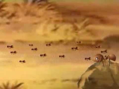قصص الحيوانات فى القران قصة النملة 