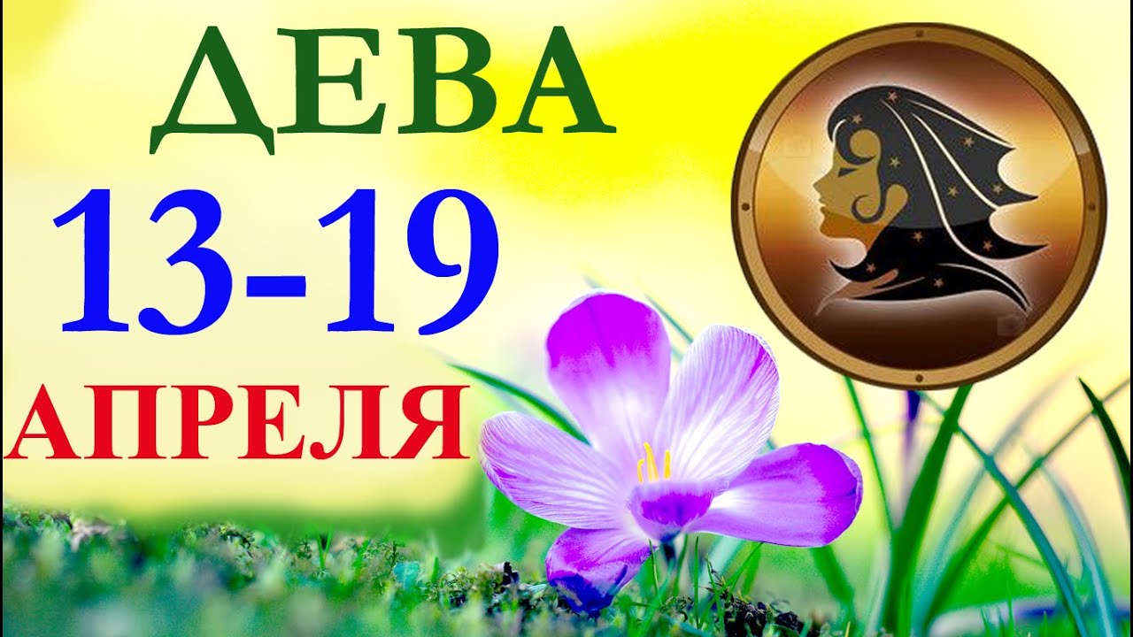 Телец 13 мая. Телец 13 мая