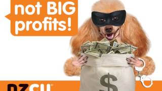 Nzcu South - Brand Awareness