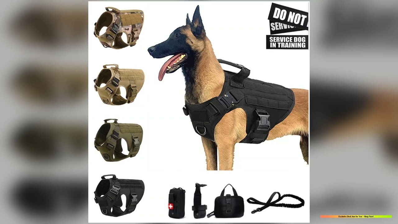 Tactical Military Vest Pet German Shepherd Golden Retriever Tactical Training Dog Harness and
