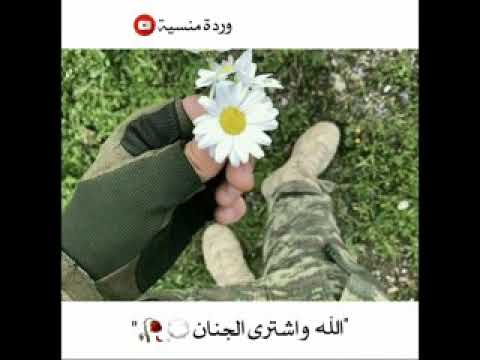 وردة منسية اتمنة الشتراك ولايك ستوريات انستغرام واتساب2021 باع الحياه رخيصه لله واشترى الجنان