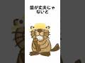 ビーバーについて話すどるぴん【#どるぴん #shorts 】