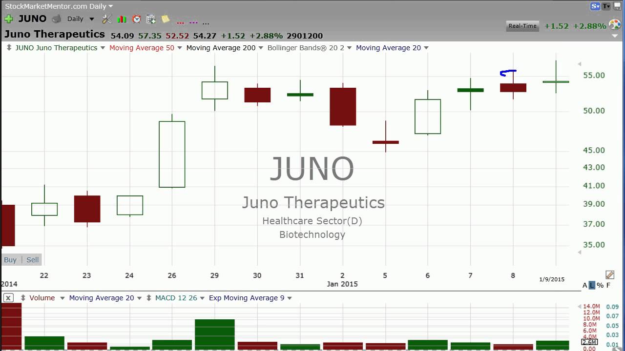 The stock market bounced right where it was supposed to on Monday according to this chart