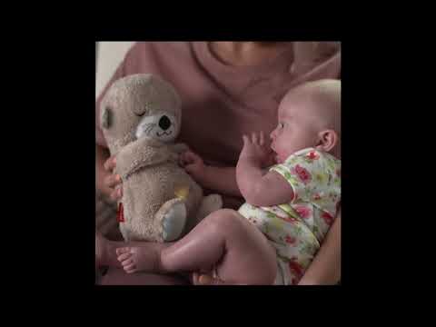 fisher price otter soother
