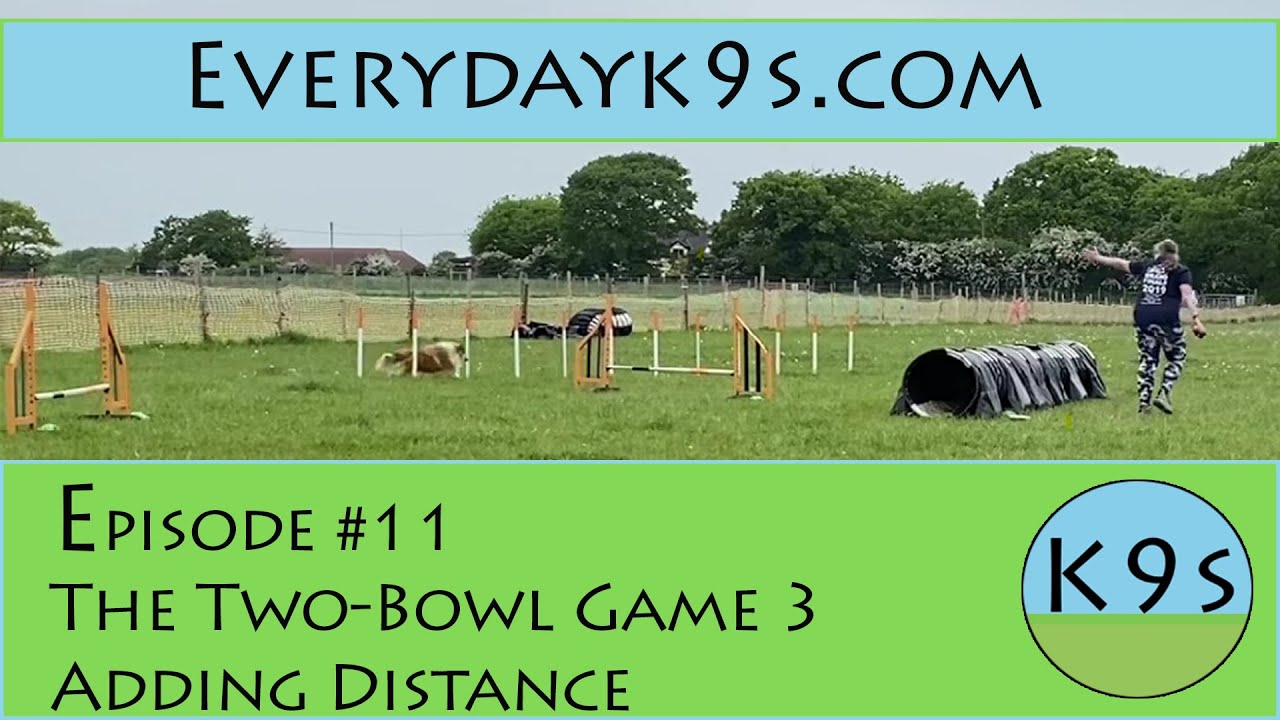 Distance Handling 101 - Foundation Skills: Episode 11 - Progressing the Two Bowl Game with Distance