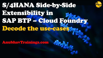SAP BTP side by side extension | Side-by-Side Extensions on SAP BTP | Extension for SAP S/4HANA API