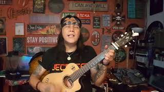 Blowin' In The Wind - Bob Dylan Cover