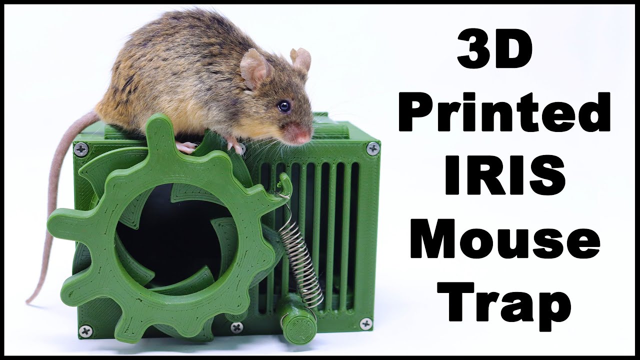 Humane Mouse Trap by ori, Download free STL model