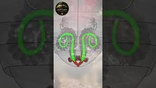 الخنفساء القنبلة أخطر دفاع في عالم الحشرات