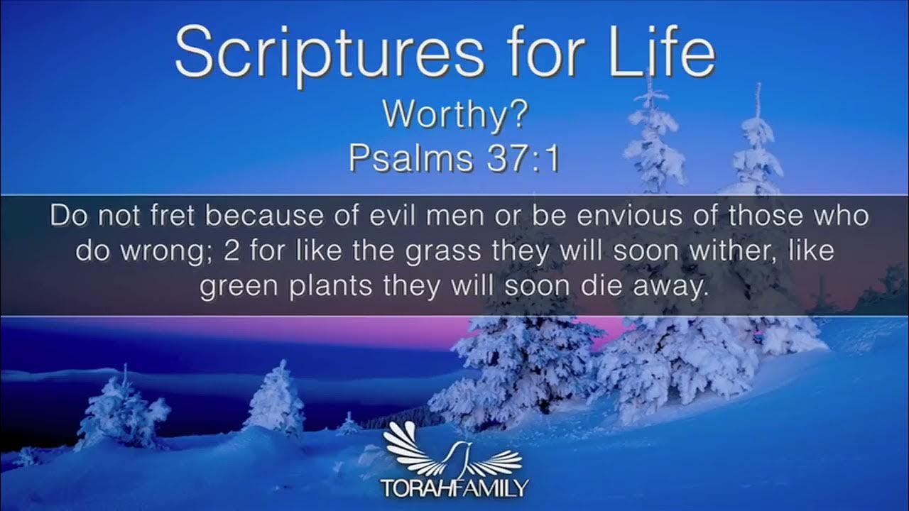 Load scripts because Load scripts because