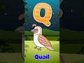 Q is for Quilt  #kidssong #preschool #abcd #toddlers #3yearsold
