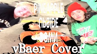 queef jerky & ethanisonline - pineapple upside down [vBaer/Vocaloid cover]
