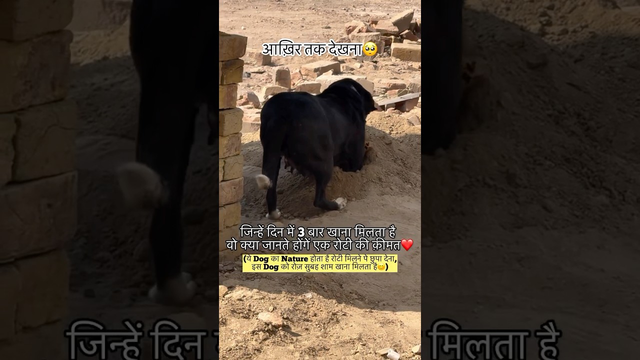 जय श्री राम 🙏❤️ 