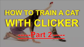 How To Train A Cat With Clicker - Part 2 - Training Pet Easy