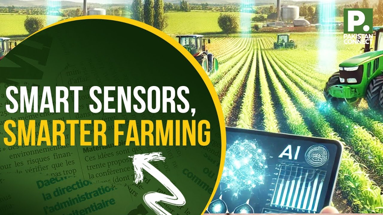 How Data Sensors Are Shaping Farming in Pakistan | Chakwal | Laiba Hussan | Pakistan Connect