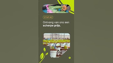 Duijndam Machines - 2025 Reel - NL