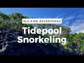 Tidepool Snorkeling the Puna Coast | LOTS of Relaxing Fish Video